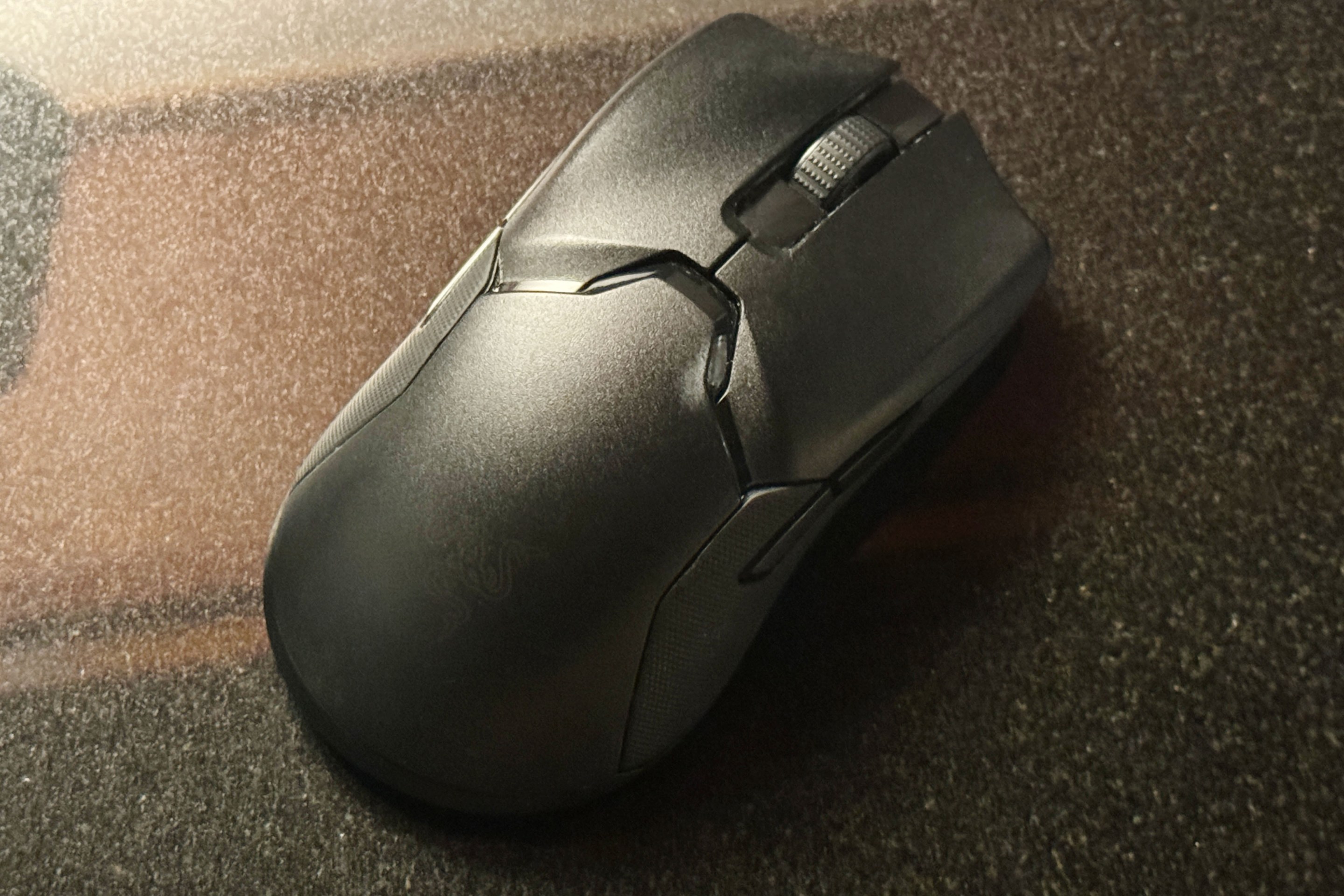 An image of a perfectly fine mouse.