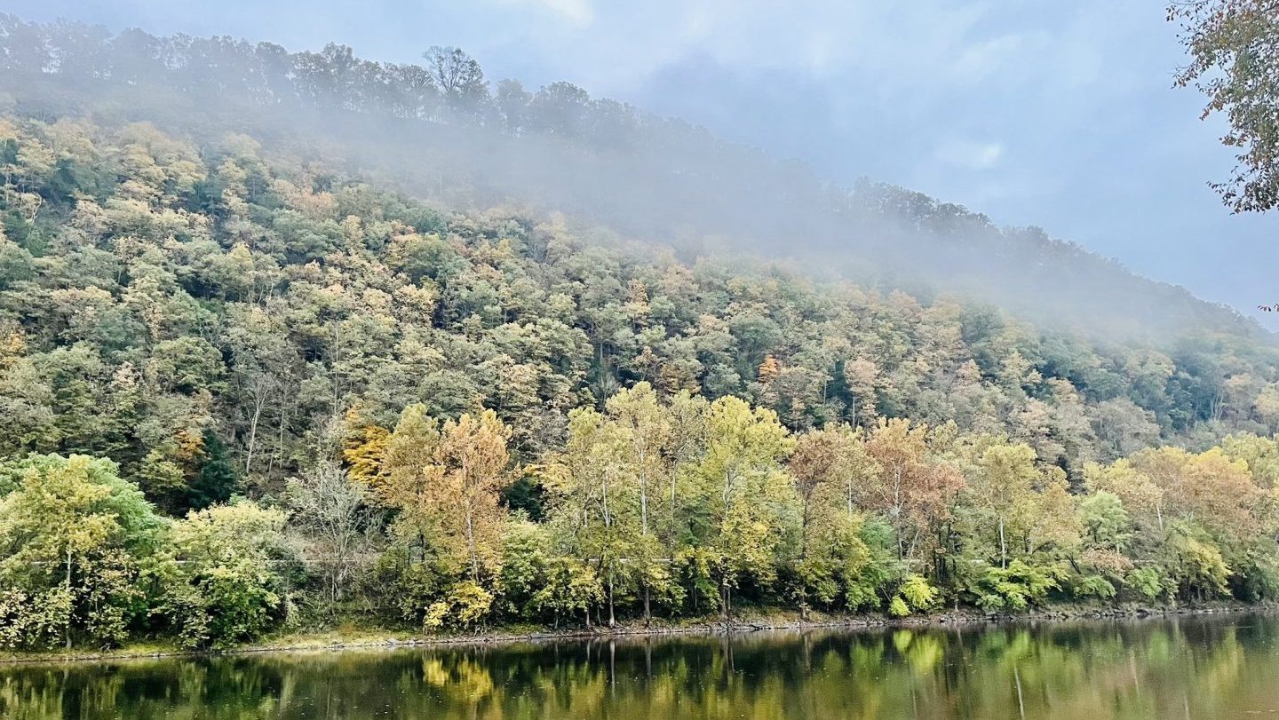 A hill of fall trees against a river, with mist on the treetops