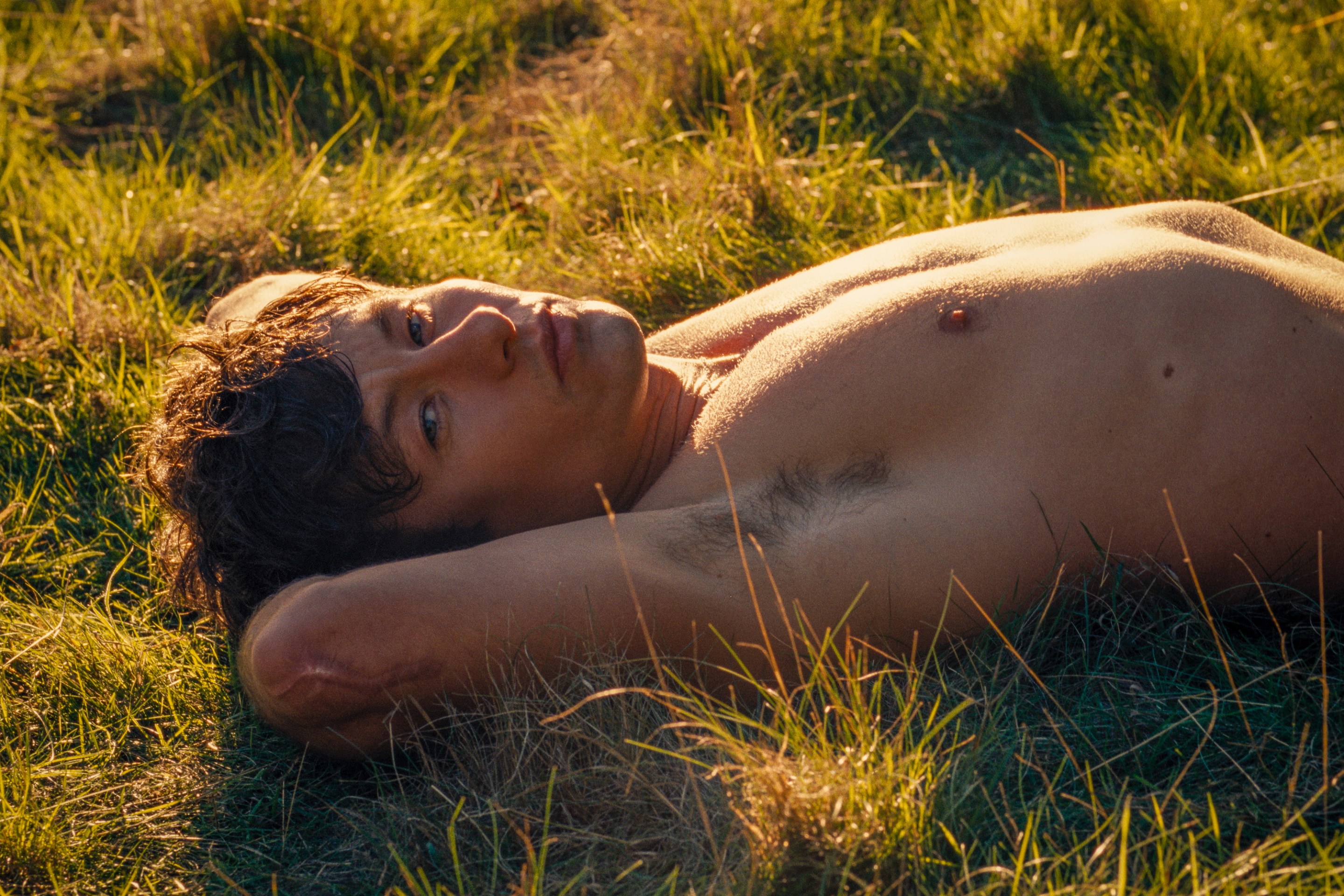 A screenshot from Saltburn, showing Barry Keoghan as Oliver Quick laying down in the grass, shirtless in the goilden afternoon light.