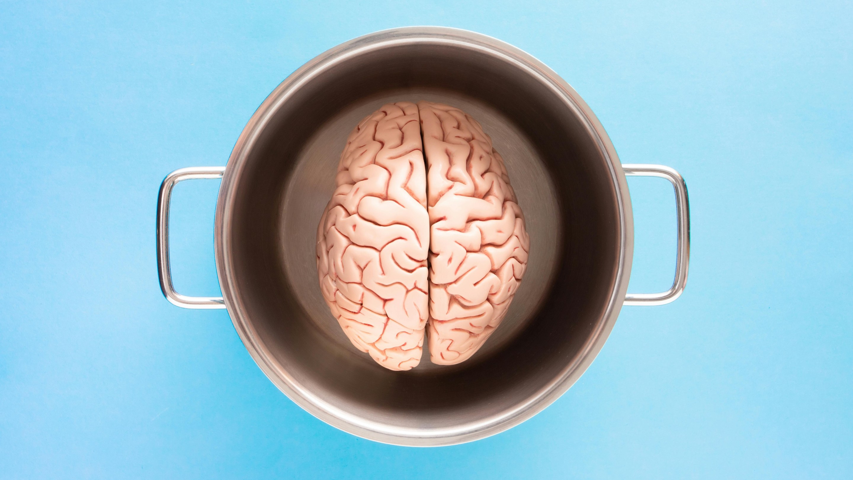 A brain in a metal pot on a light blue background