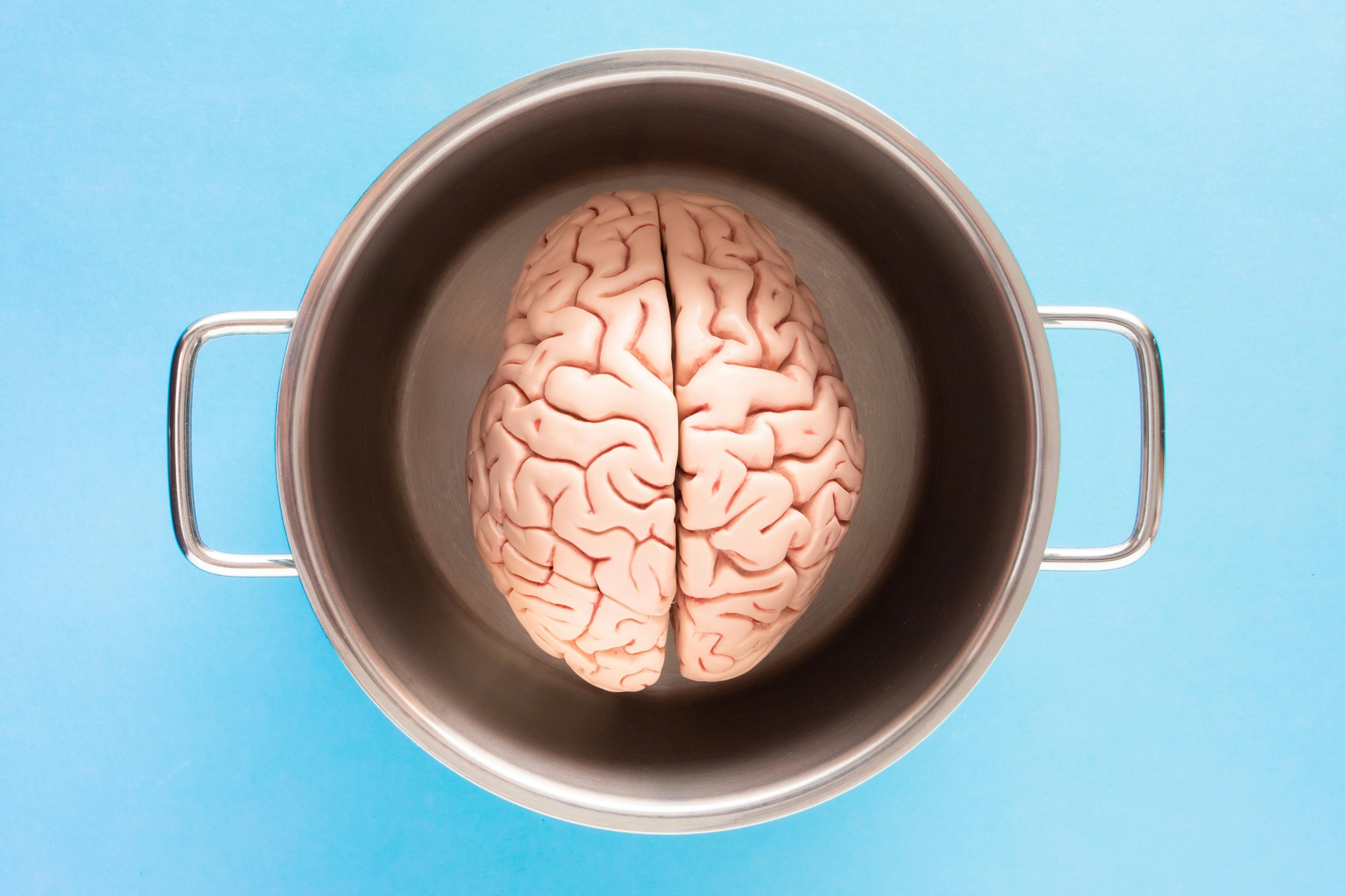 A brain in a metal pot on a light blue background
