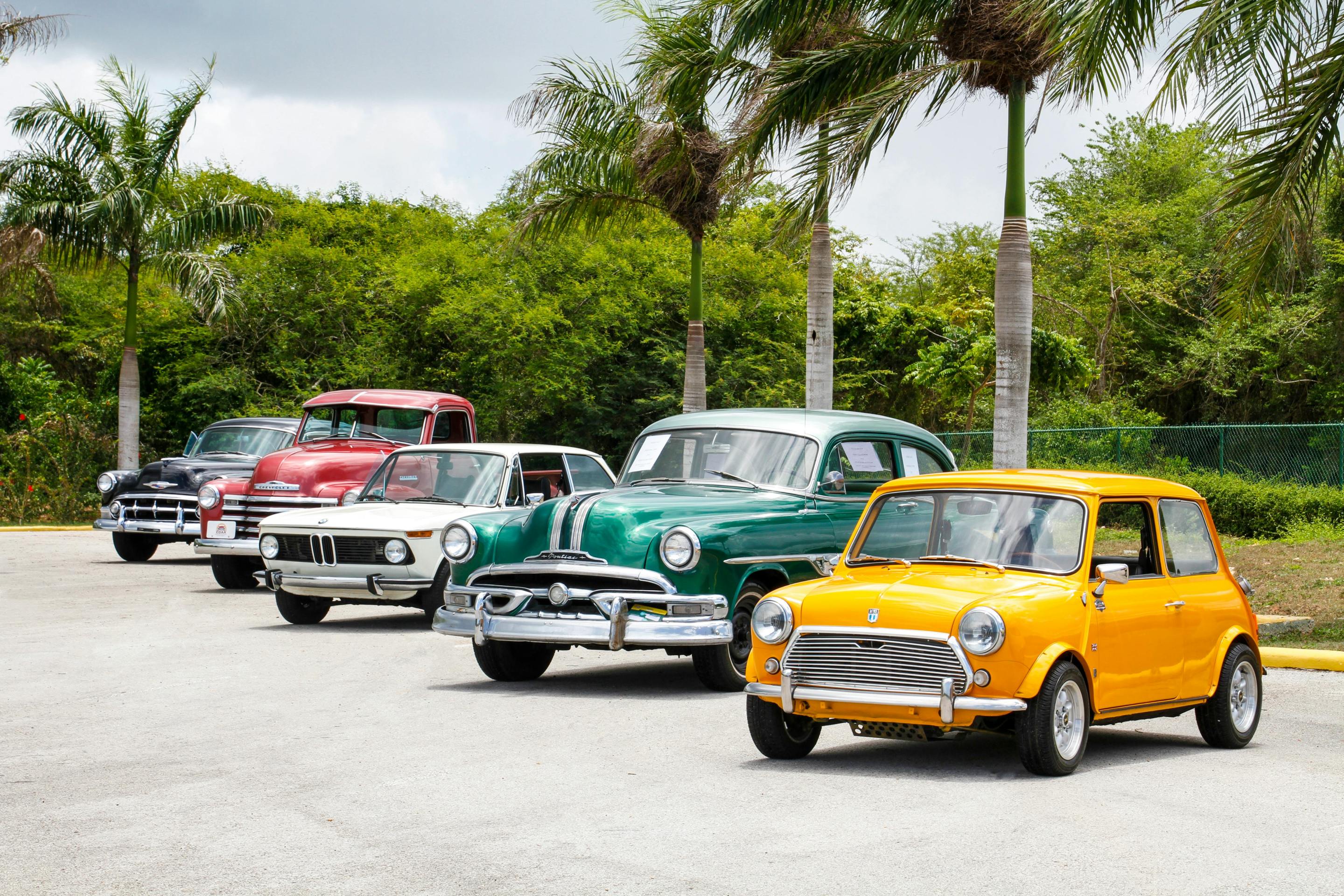 A row of classic cars in a parking lot under some palm trees