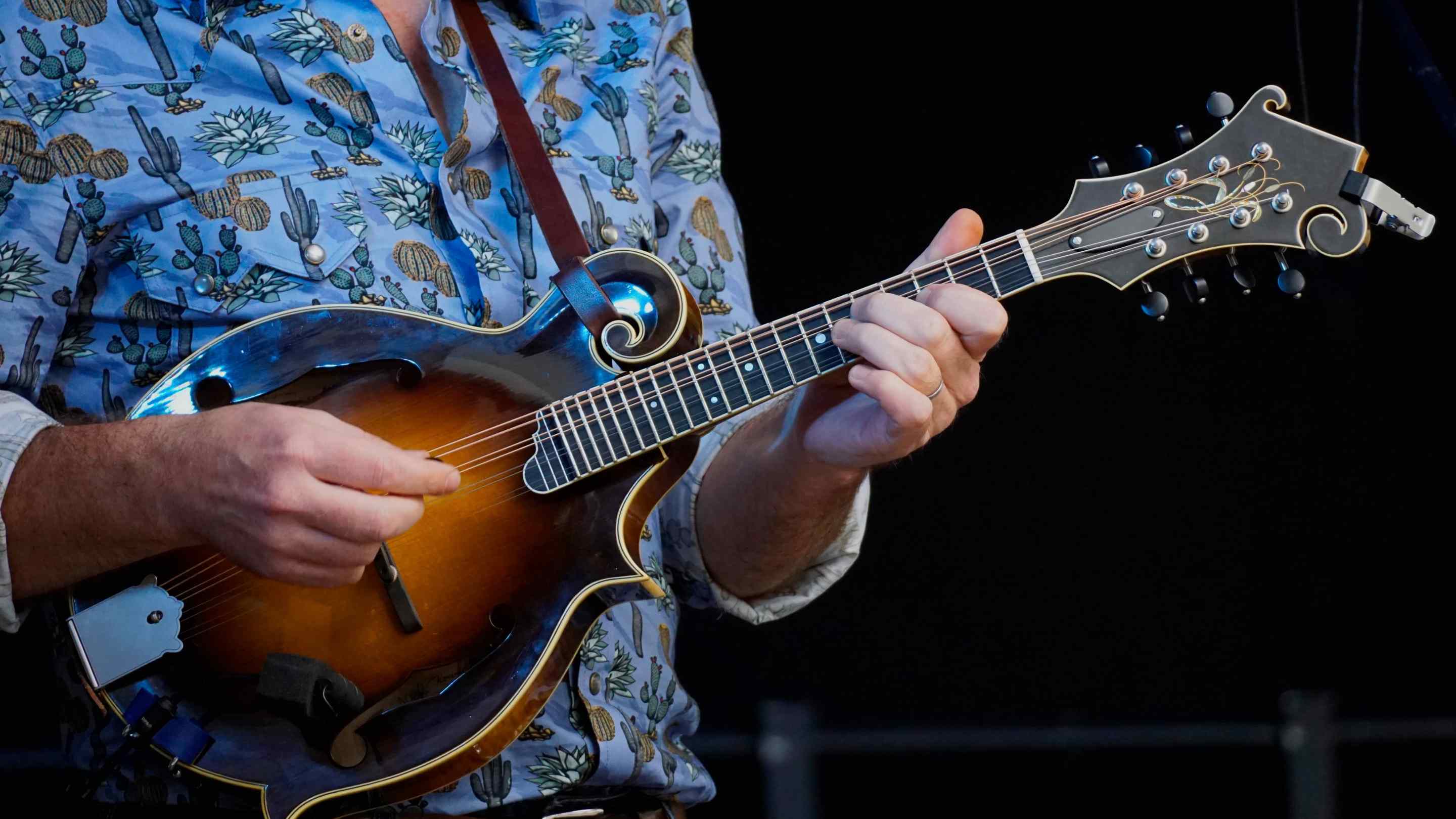 Someone in a blue shirt playing a mandolin