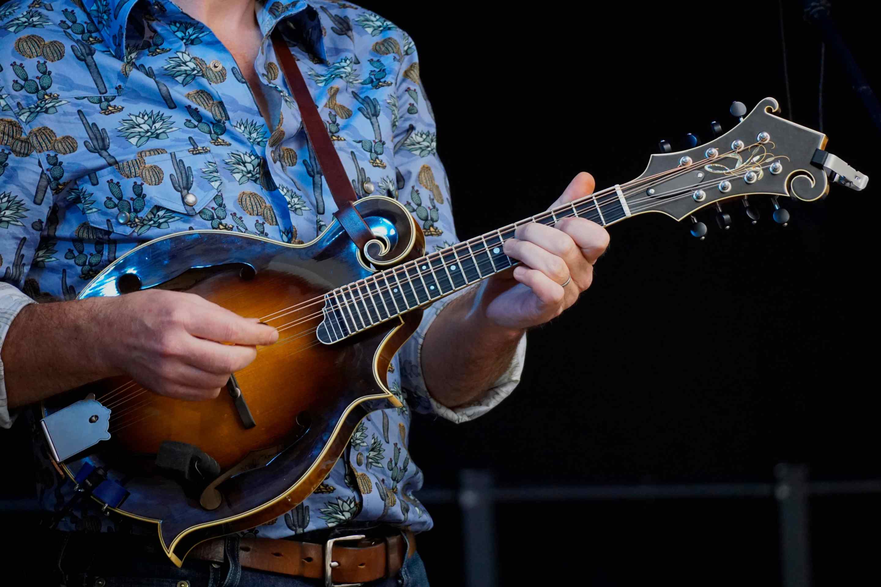 Someone in a blue shirt playing a mandolin