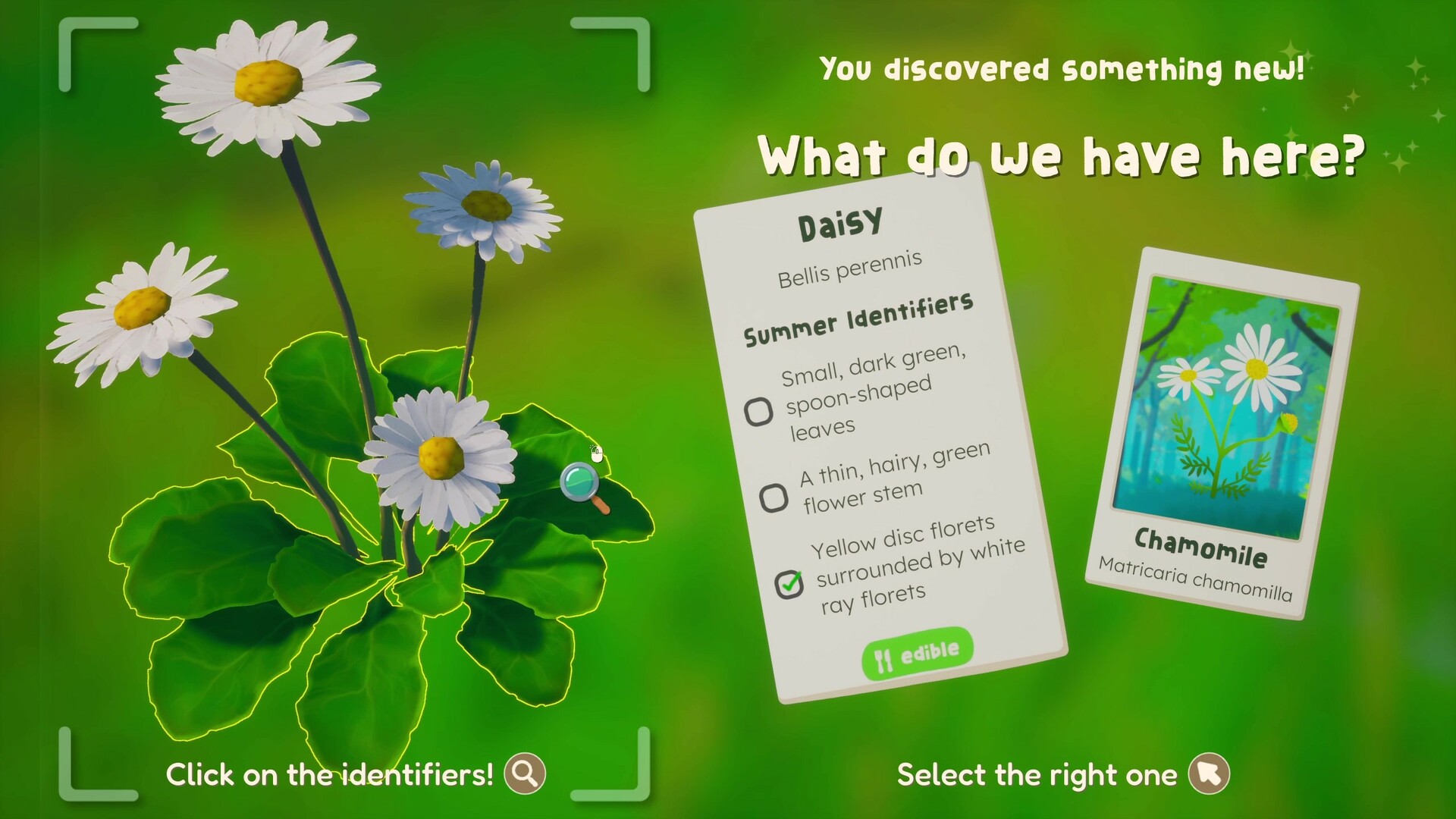 a plant identification game in "Out and About"