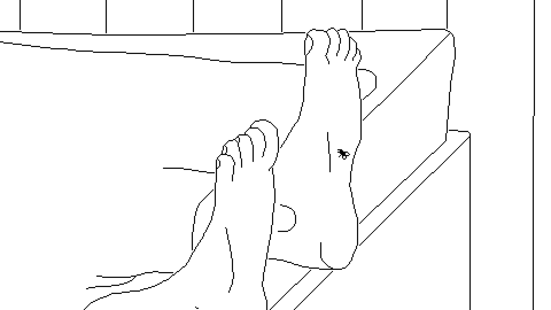 Black and white line drawing of a fly on a foot