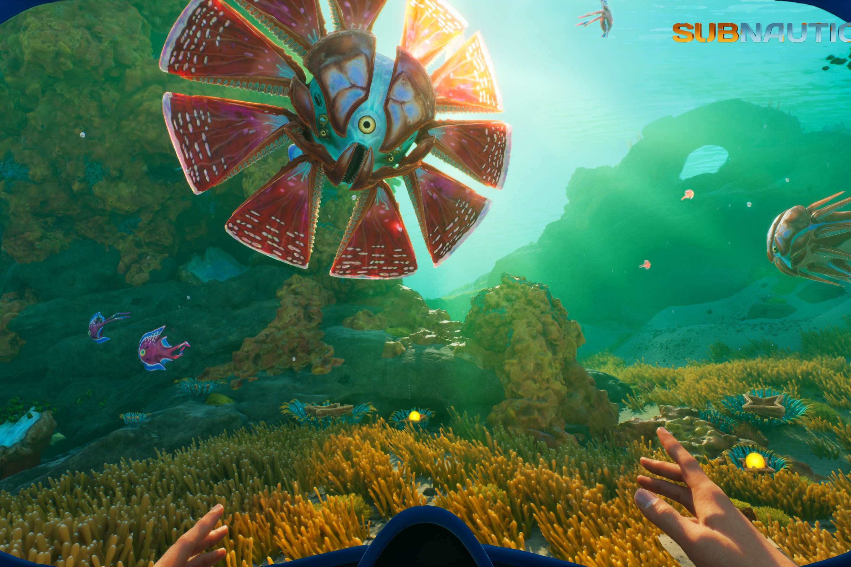 Subnautica 2 image, showing alien creatures in an underwater world