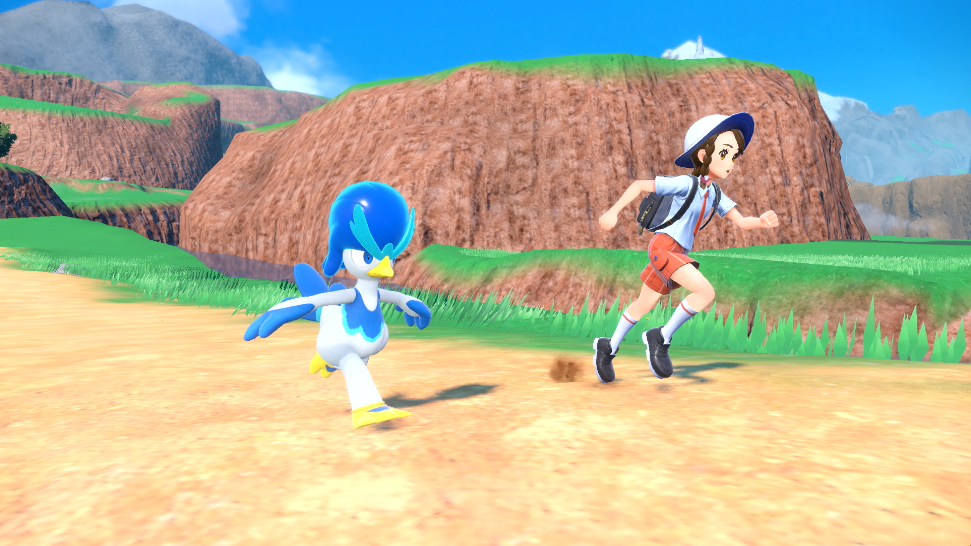 A Pokemon training running alongside a Quaxwell, which is a bird with a bouffant